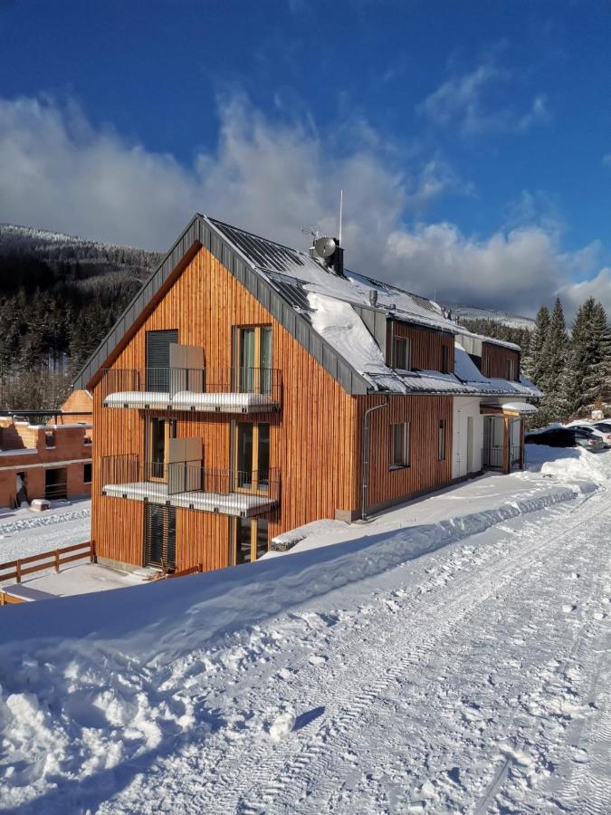 Apartman Pod Sjezdovkami Dolní Morava 外观 照片